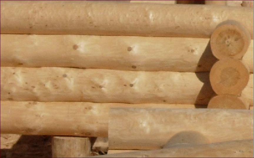 проектирование деревянных домов: обработка с небольшими изгибами